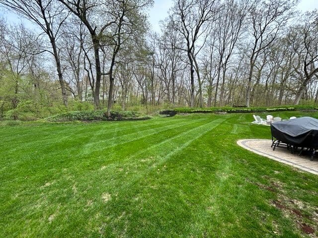 Gallery photos for Stunning Lawn Transformations by BlackRock Outdoor: Image #3