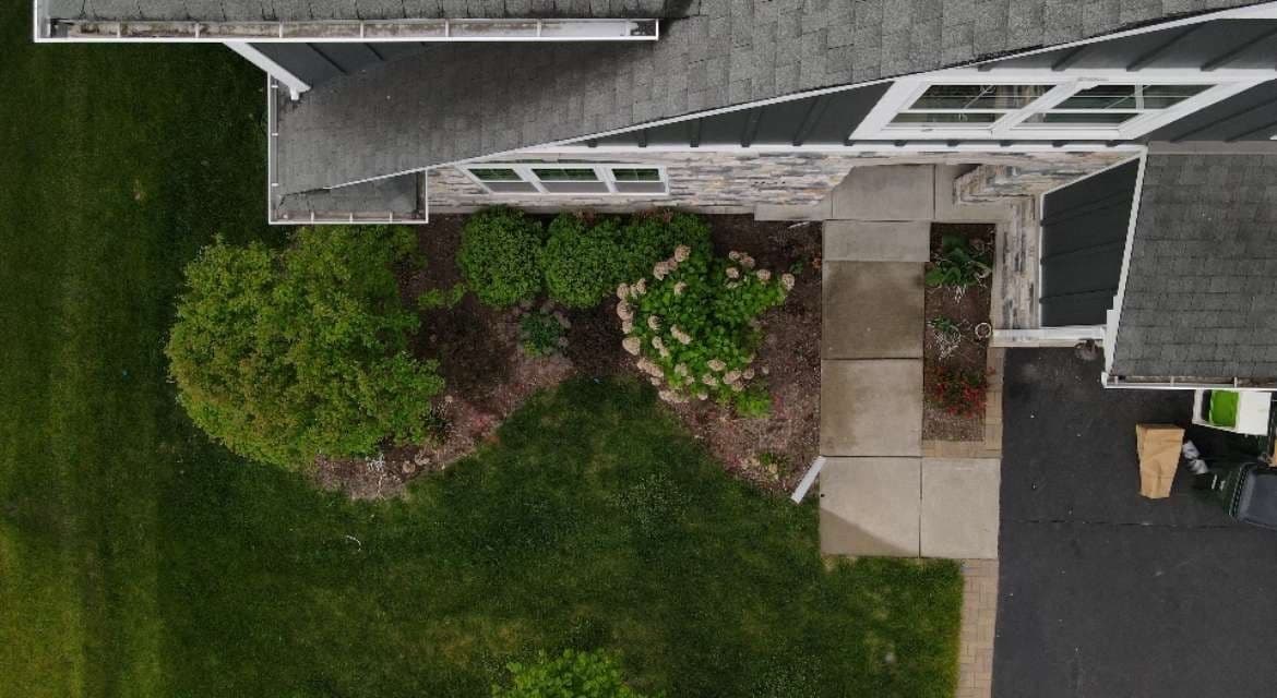 Landscape Revamp with Arborvitaes & Ornamental Onions