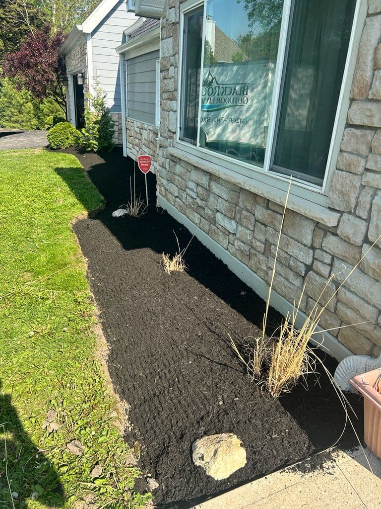 Garden Transformation with Black Mulch in Beautiful Neighborhood image