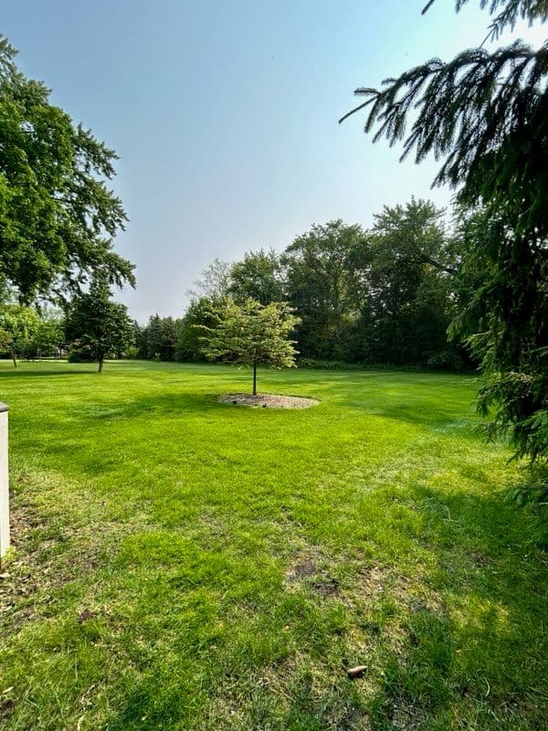 Gallery photos for Stunning Lawn Transformation in Local Community: Image #1