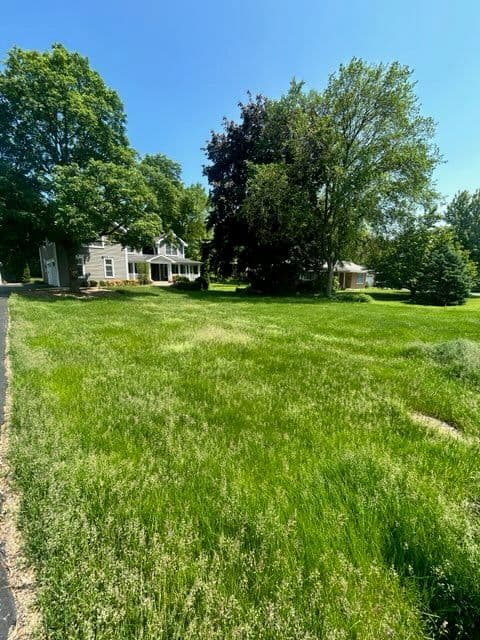 Gallery photos for Stunning Lawn Transformation in Local Community: Image #2