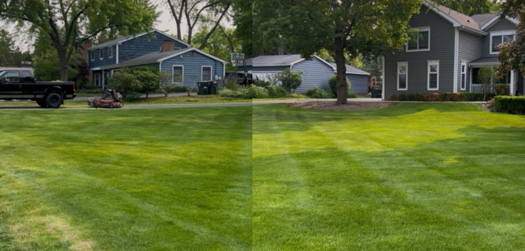 Gallery photos for Stunning Lawn Transformation in Local Community: Image #3