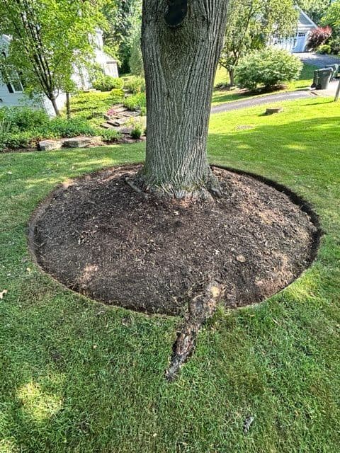 Gallery photos for Stunning Garden Transformation with Expert Landscaping: Image #3