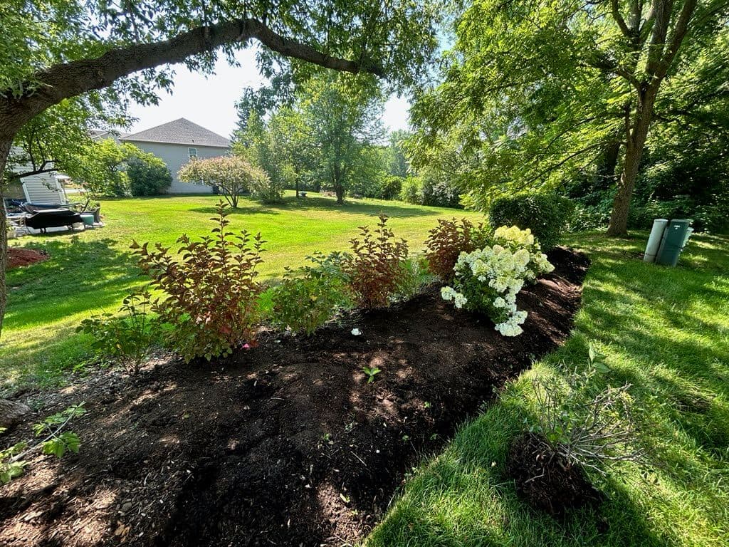Gallery photos for Garden Transformation with Hydrangeas and Ninebarks: Image #1