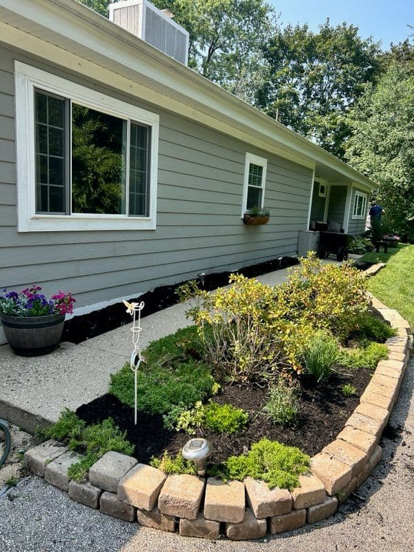 Revitalize Your Outdoor Space with Black Mulch image