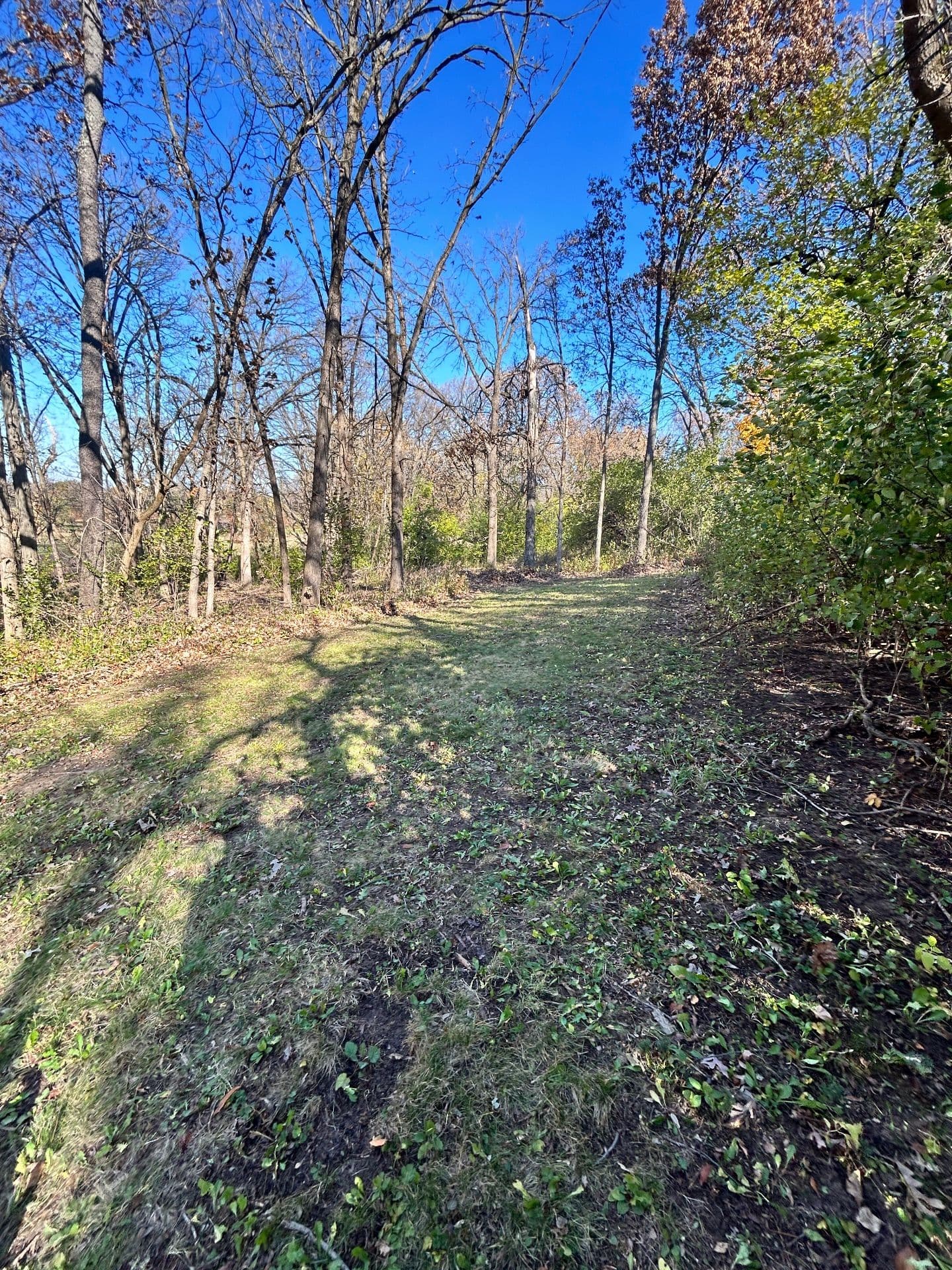 Gallery photos for Fall Cleanup at North Barrington Property: Image #3