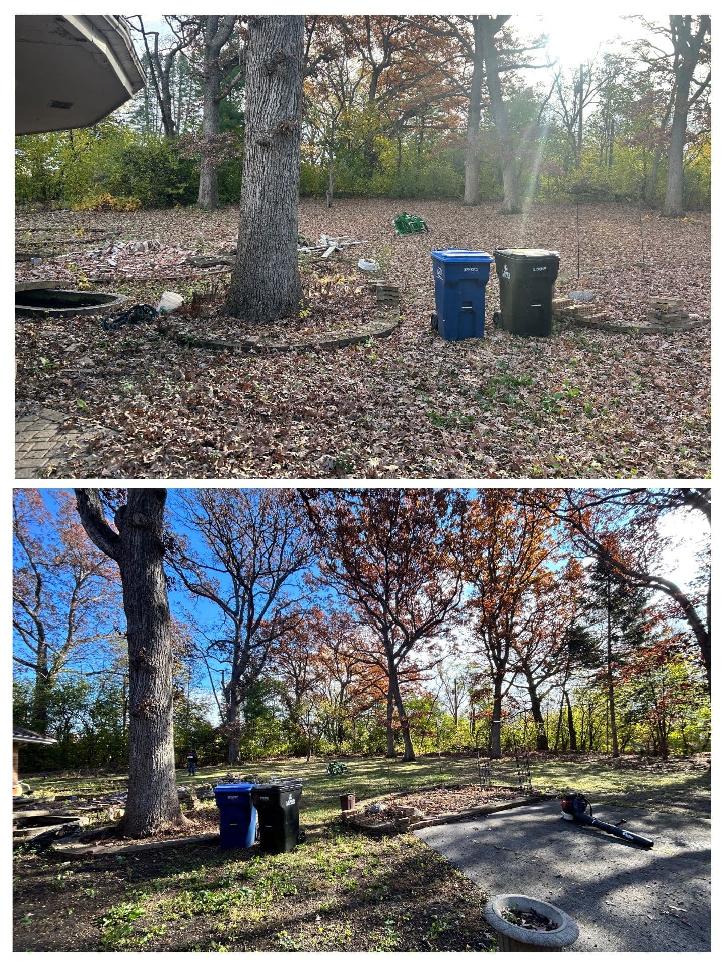 Gallery photos for Fall Cleanup at North Barrington Property: Image #4