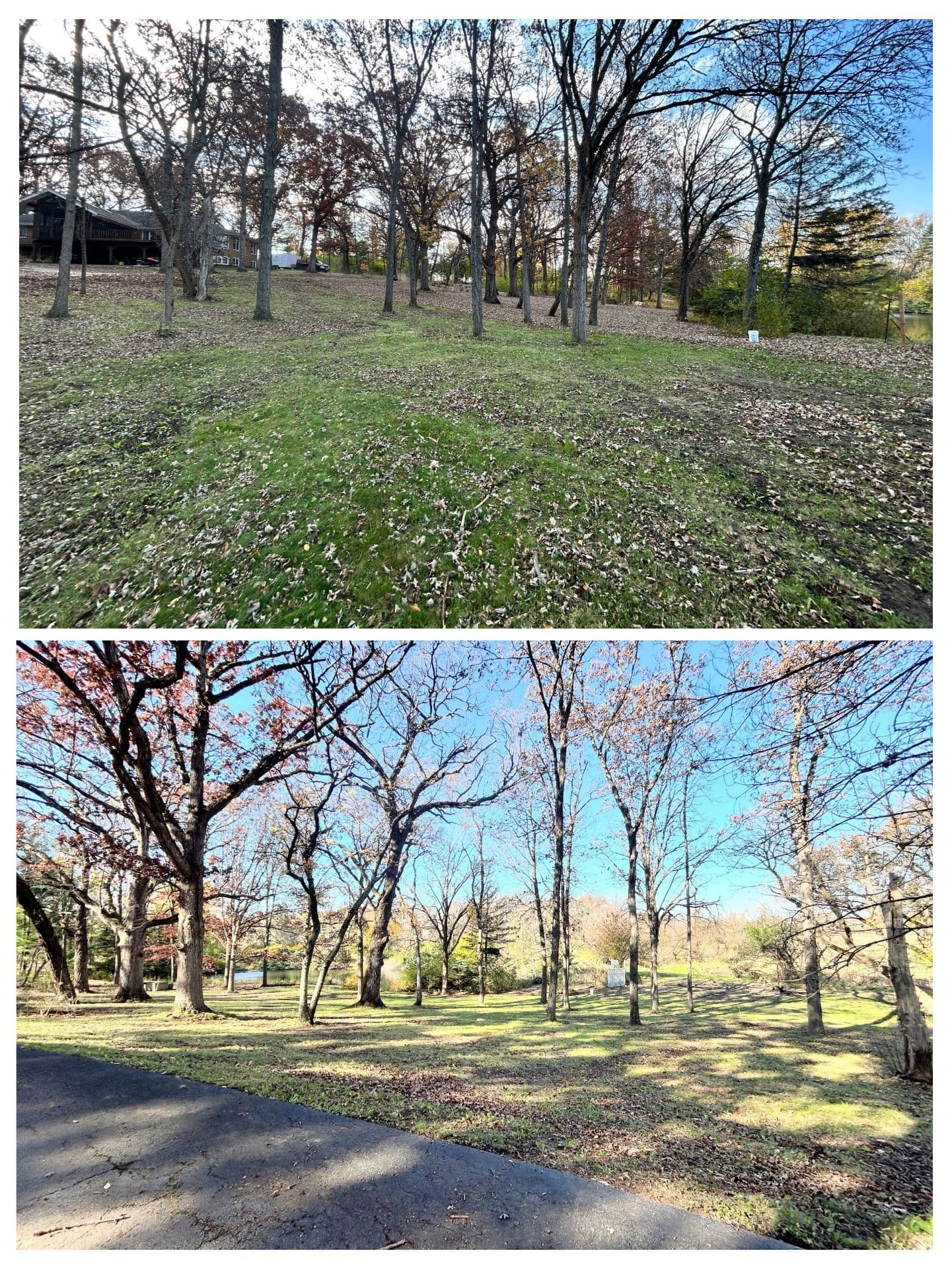 Fall Cleanup at North Barrington Property image
