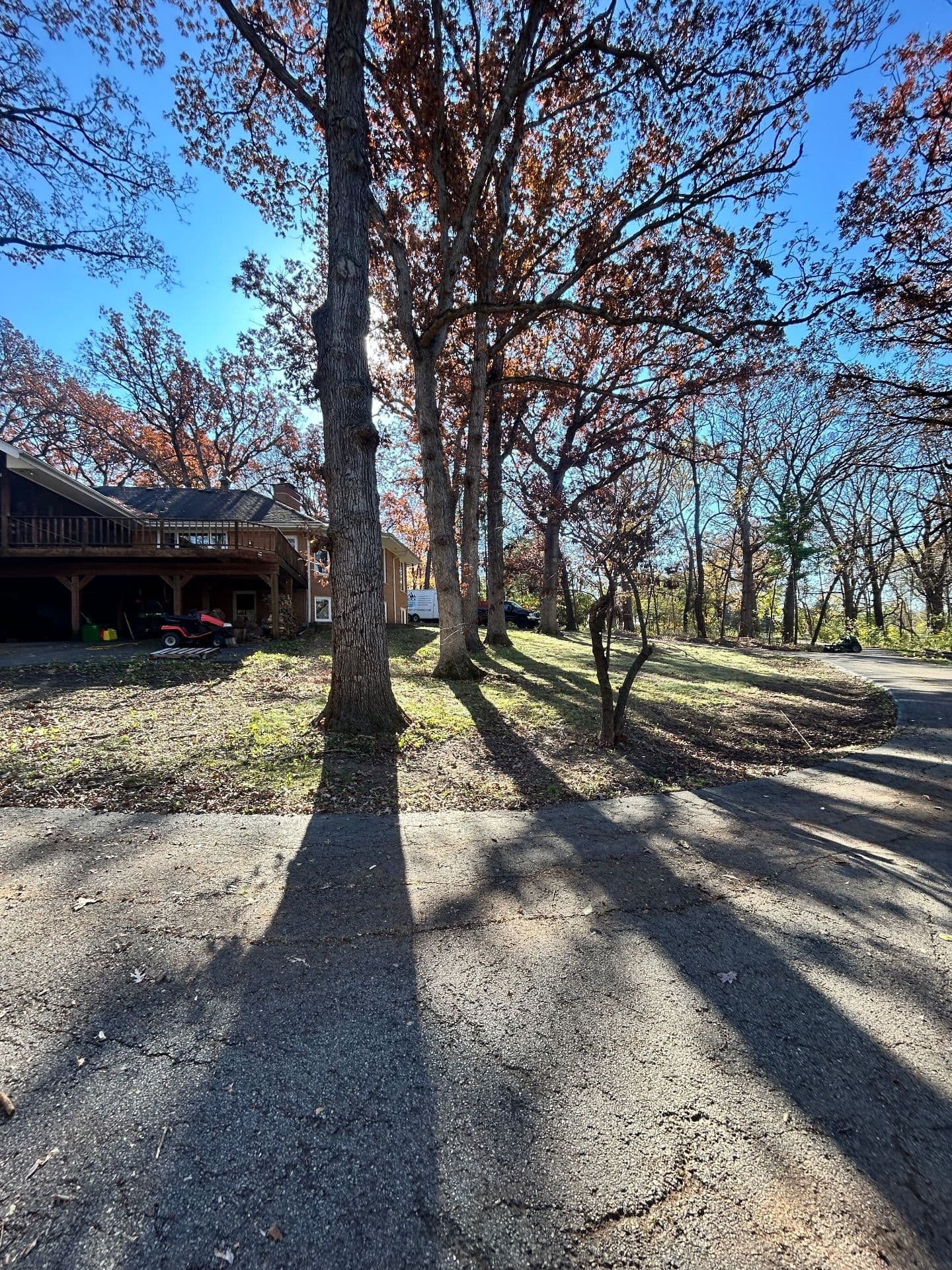 Gallery photos for Fall Cleanup at North Barrington Property: Image #1