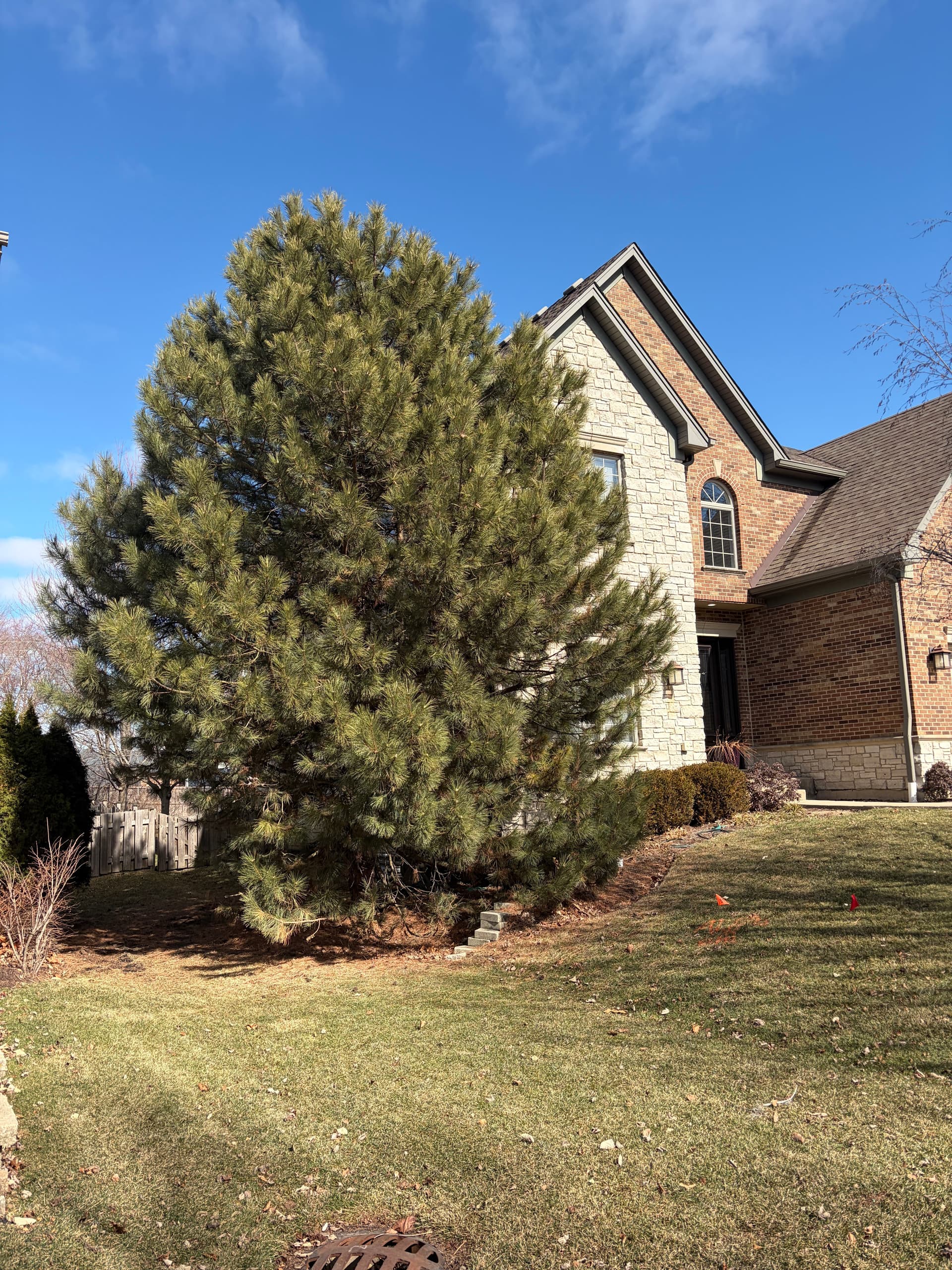 Enhanced Yard Space with Efficient Tree Removal in Barrington Area image