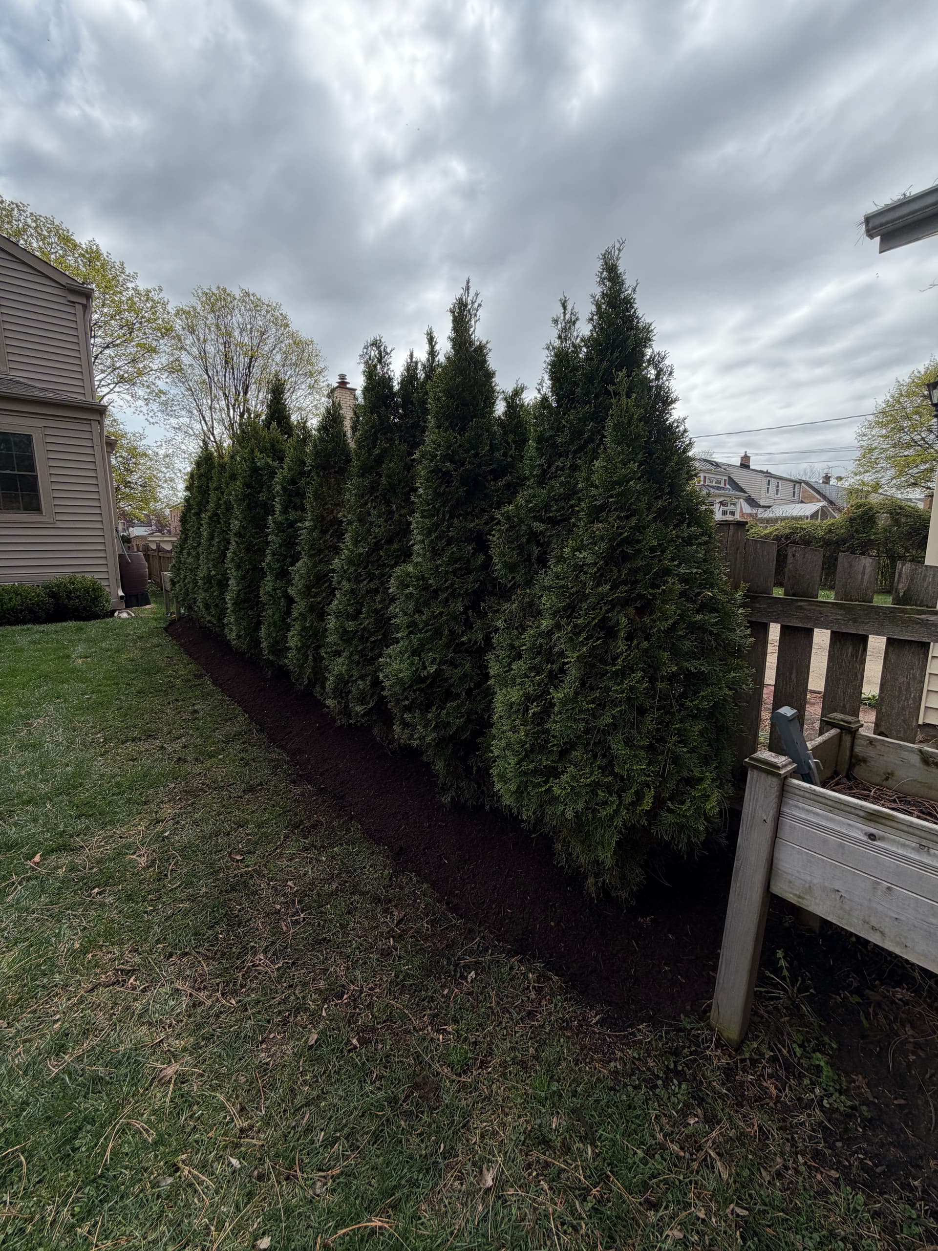 Gallery photos for Full Property Mulch and Bed Cleanup in Arlington Heights: Image #4
