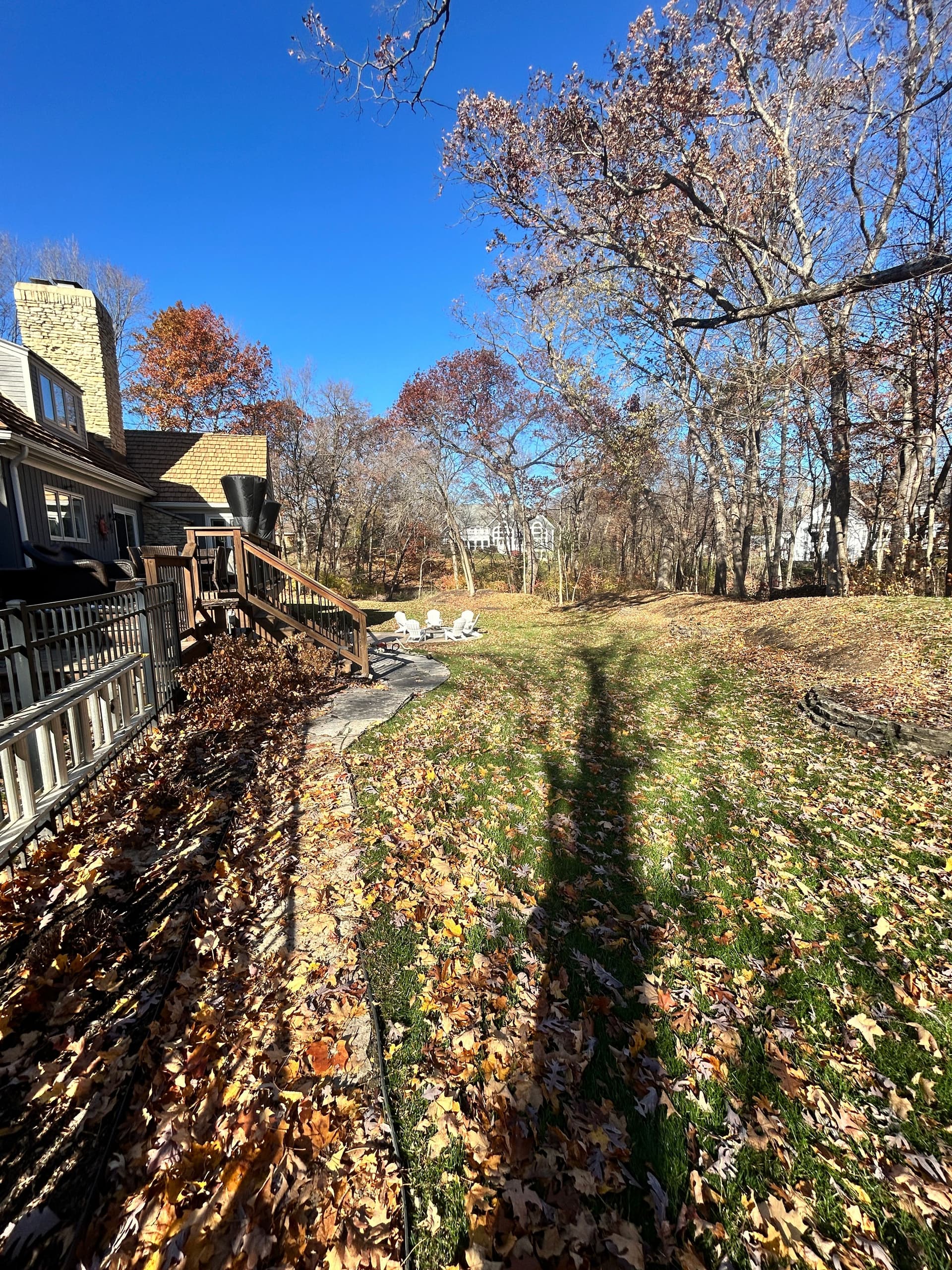 Weekly Fall Cleanup in Inverness IL image