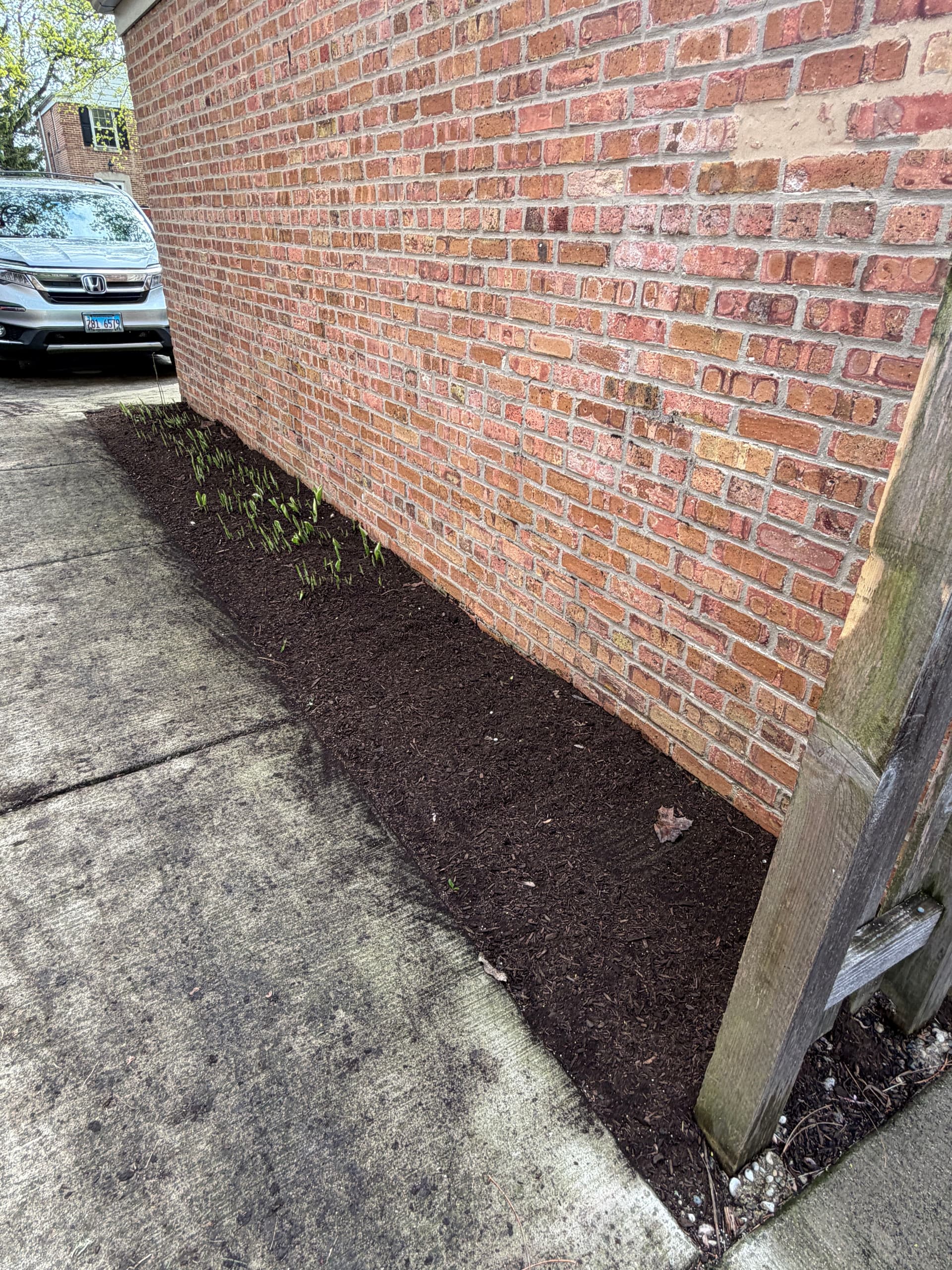 Gallery photos for Full Property Mulch and Bed Cleanup in Arlington Heights: Image #1