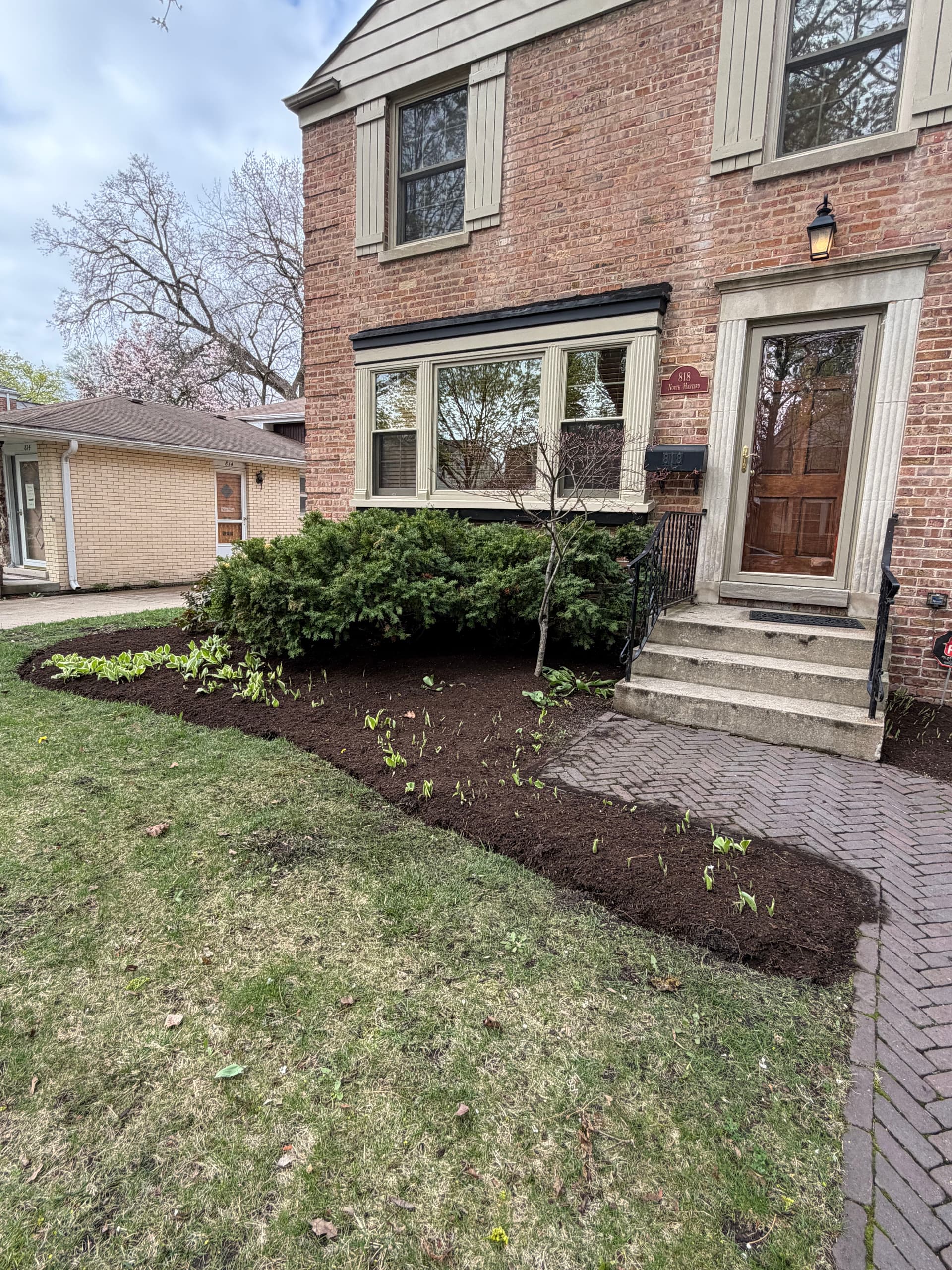 Full Property Mulch and Bed Cleanup in Arlington Heights image