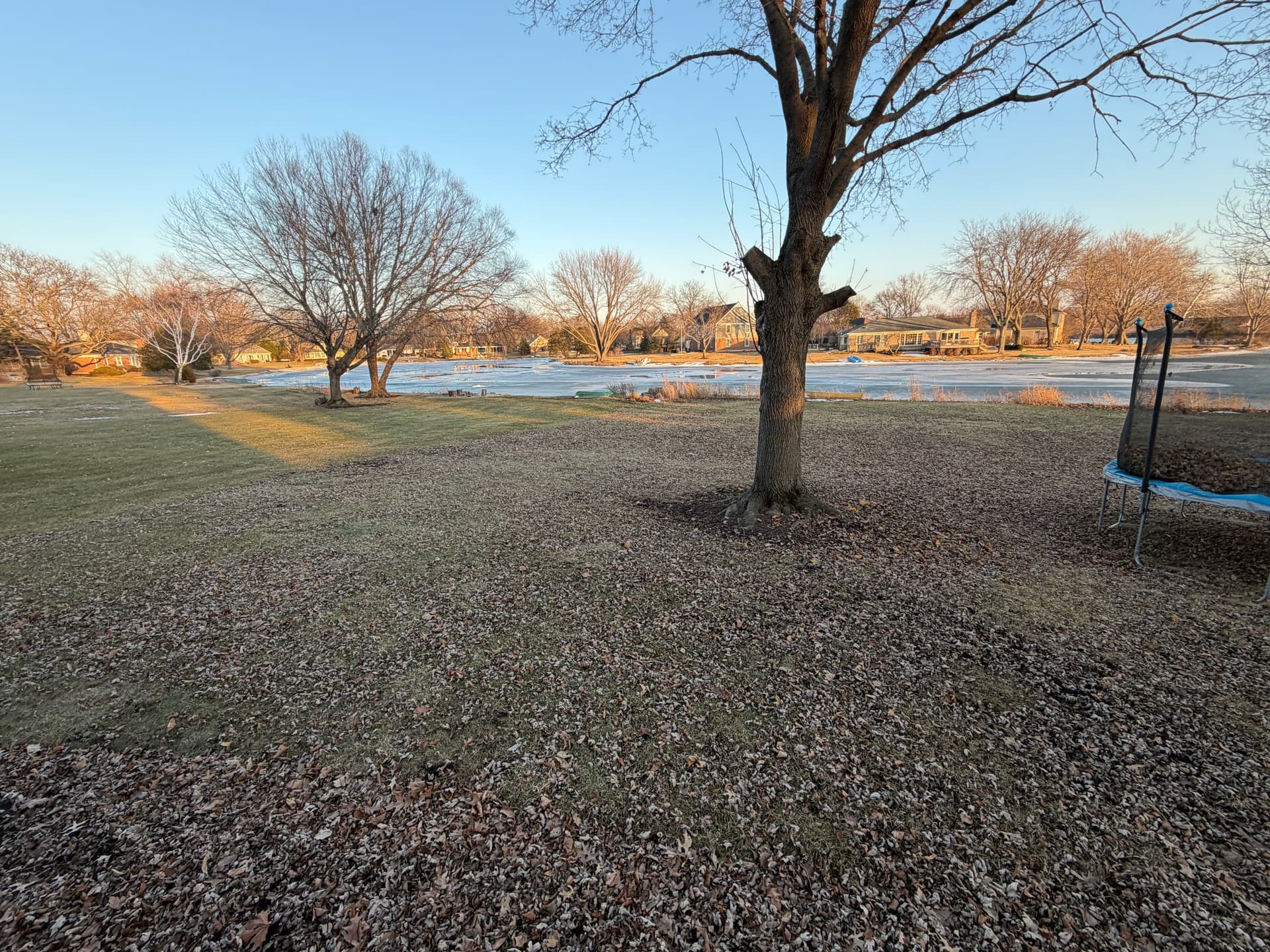 Effective Leaf Cleanup Transforms Barrington Yards image
