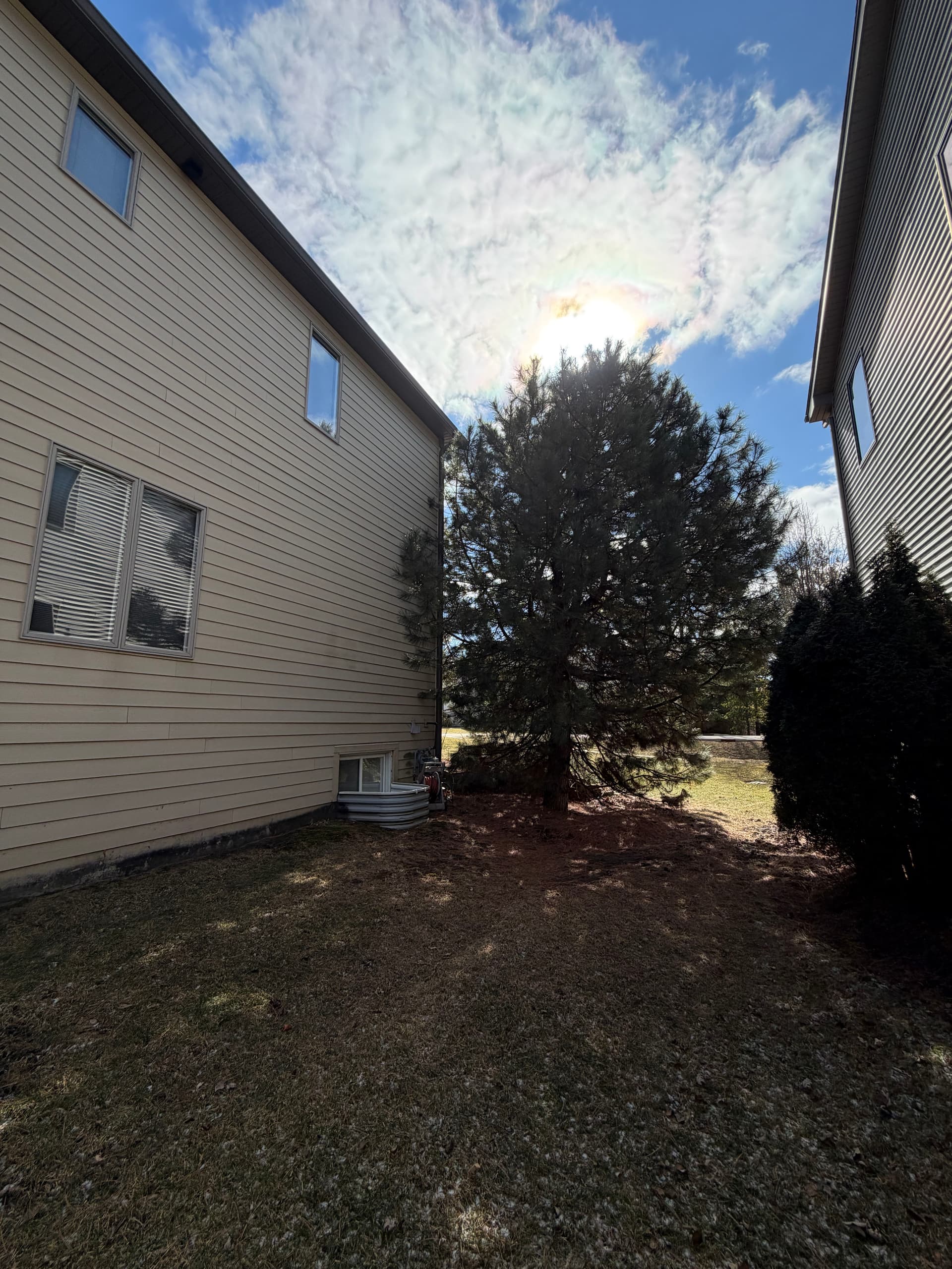 Gallery photos for Enhanced Yard Space with Efficient Tree Removal in Barrington Area: Image #1