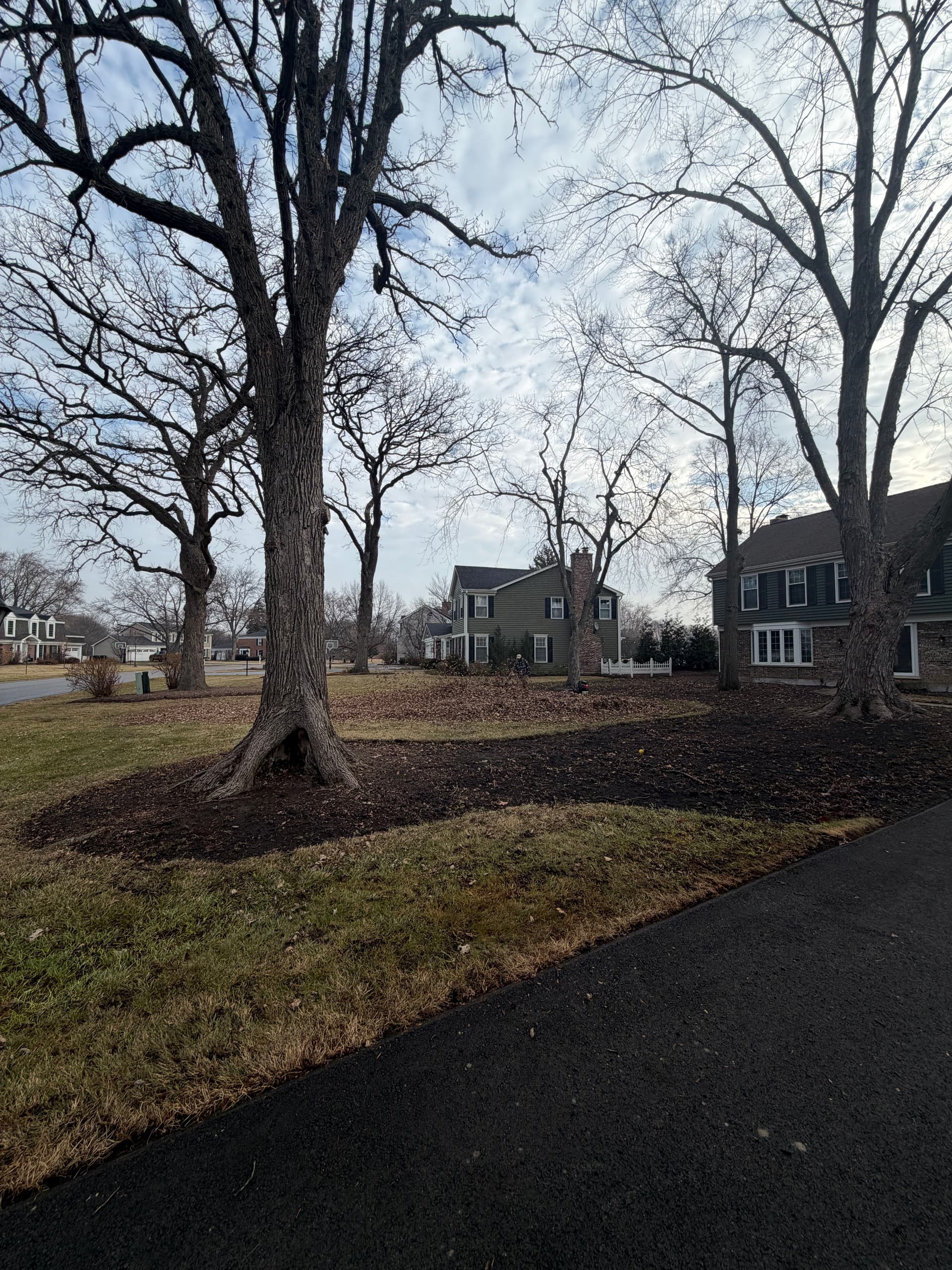 Gallery photos for Effective Leaf Cleanup Transforms Barrington Yards: Image #2