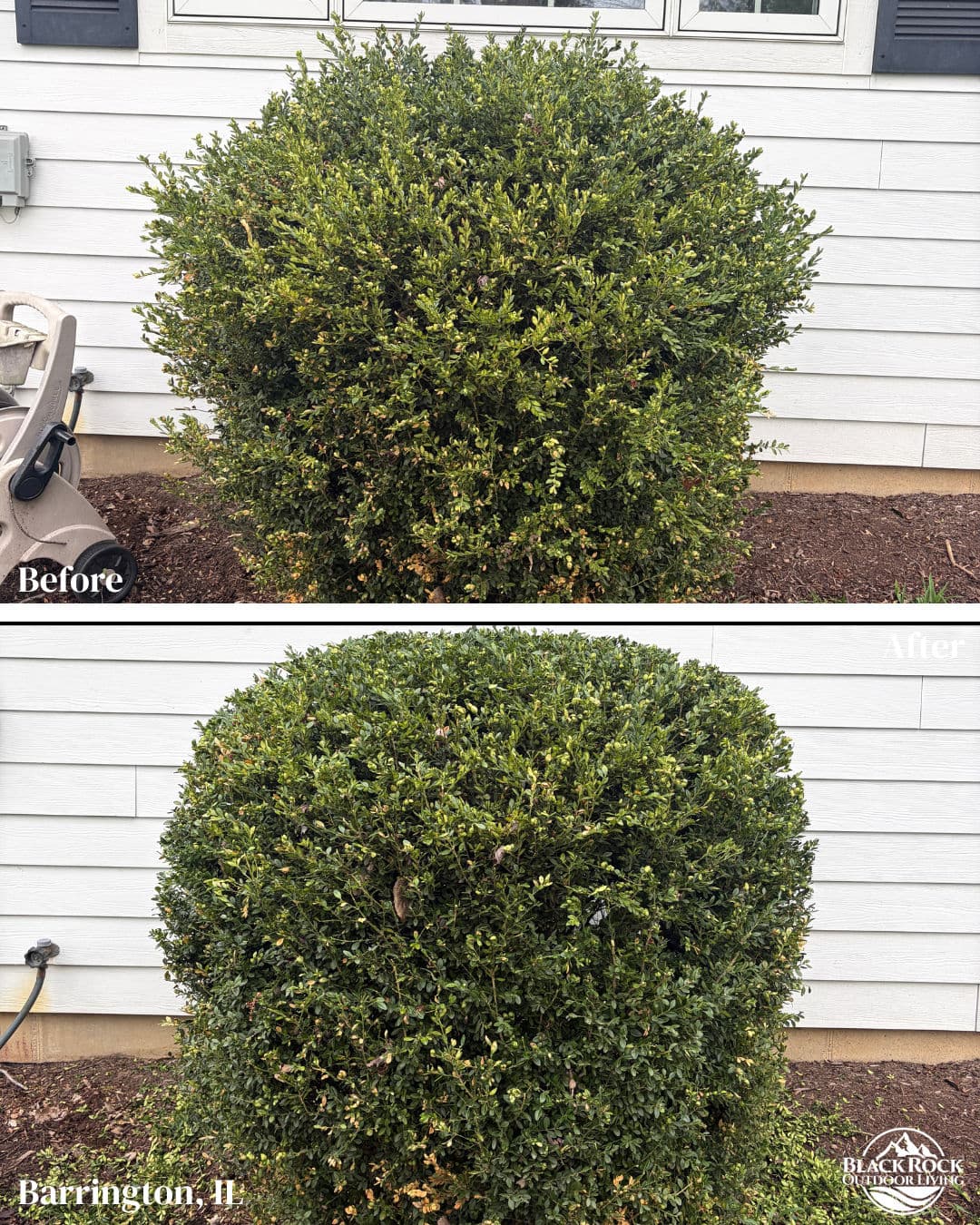 Gallery photos for Spring Cleanup and Shrub Pruning in Barrington IL: Image #4