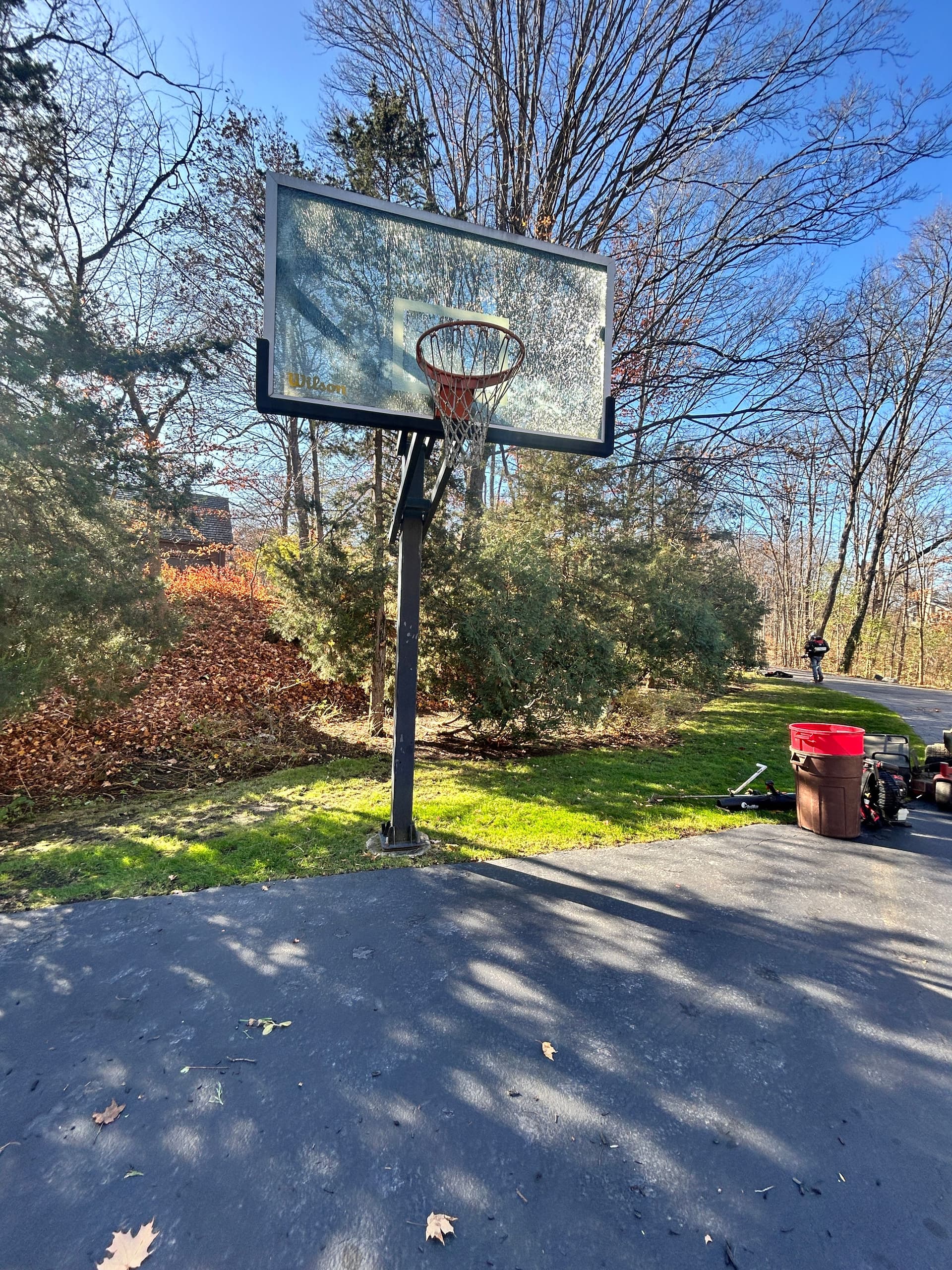 Gallery photos for Weekly Fall Cleanup in Inverness IL: Image #3