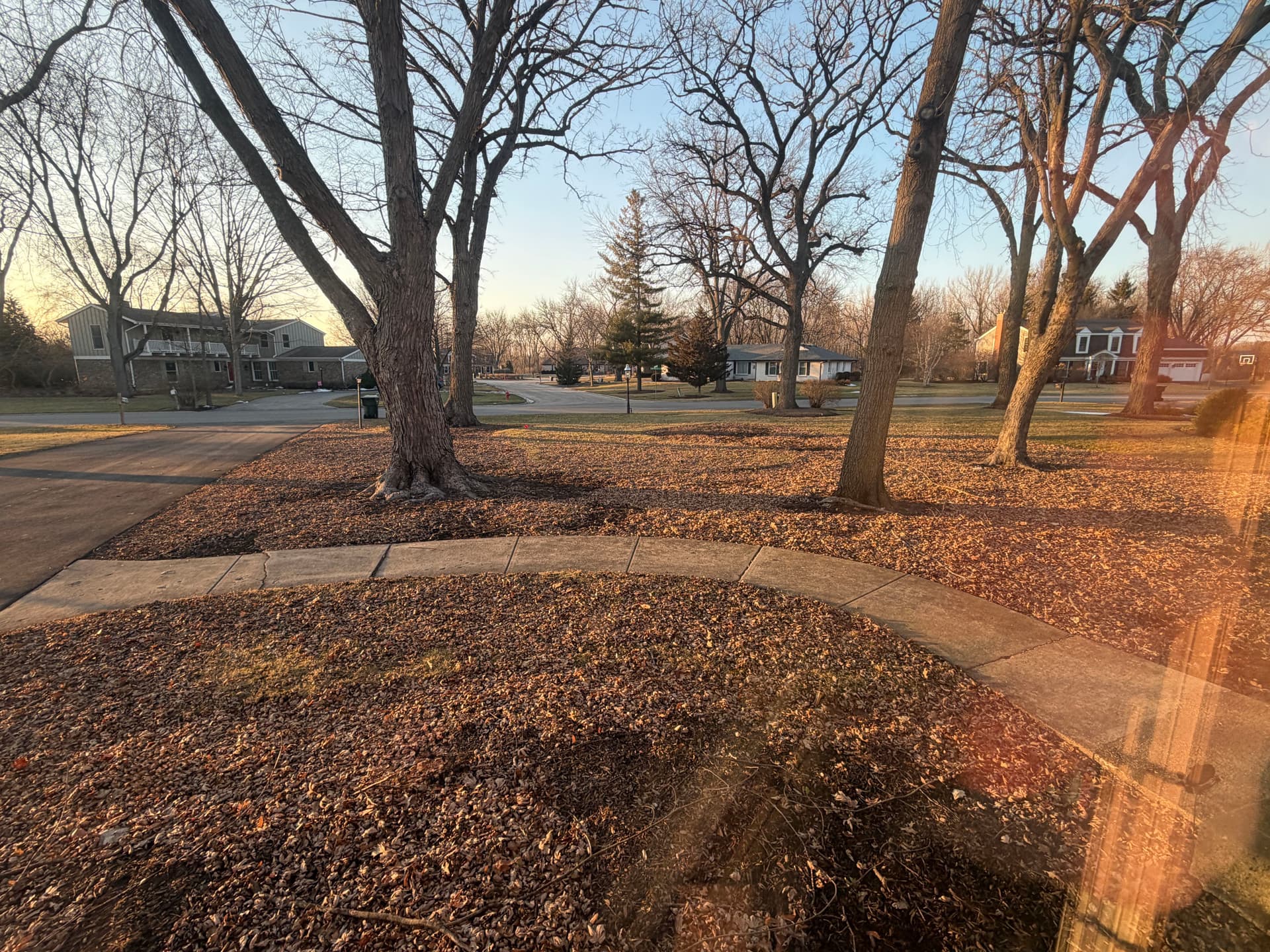 Gallery photos for Effective Leaf Cleanup Transforms Barrington Yards: Image #1