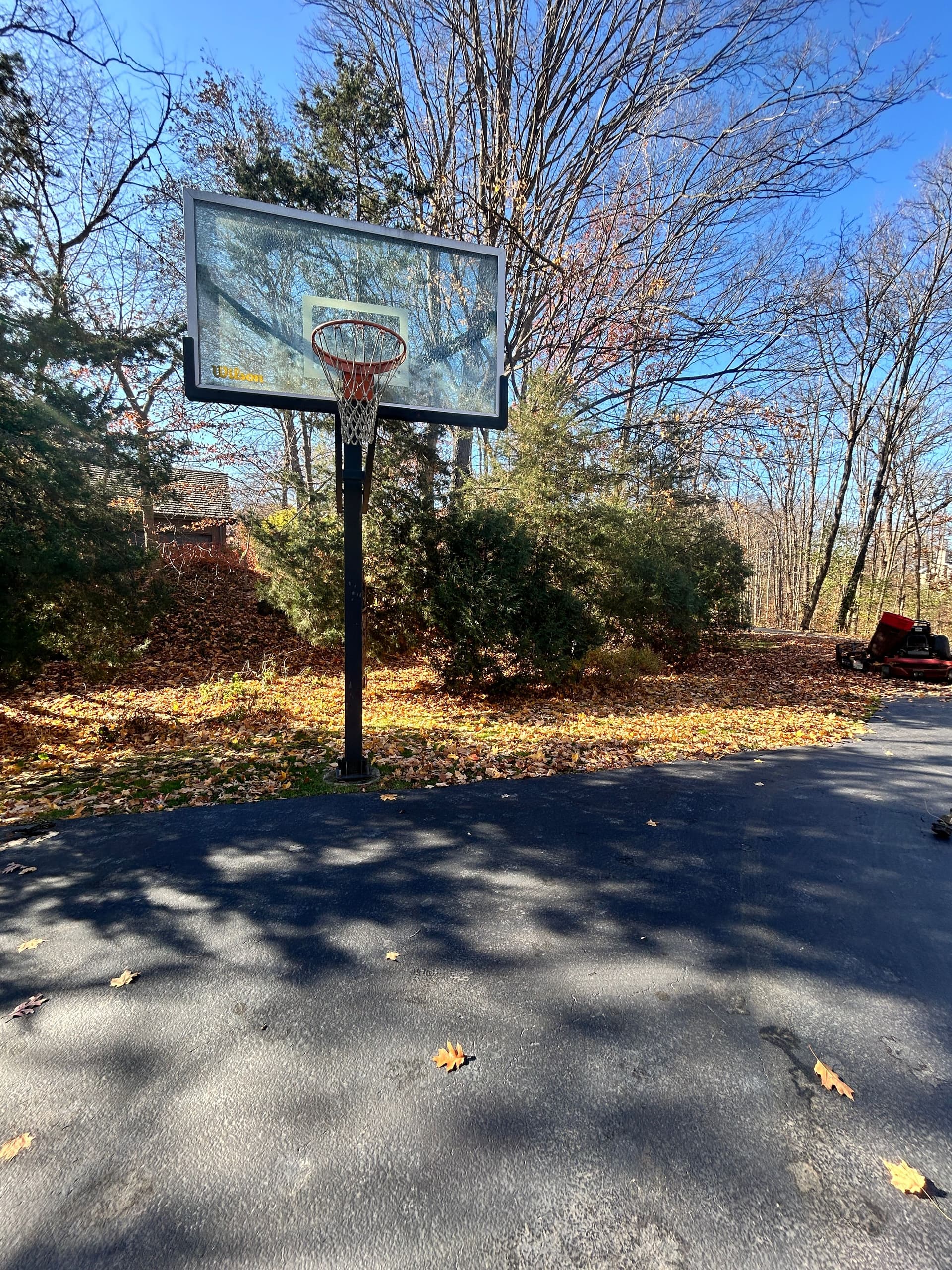 Gallery photos for Weekly Fall Cleanup in Inverness IL: Image #2