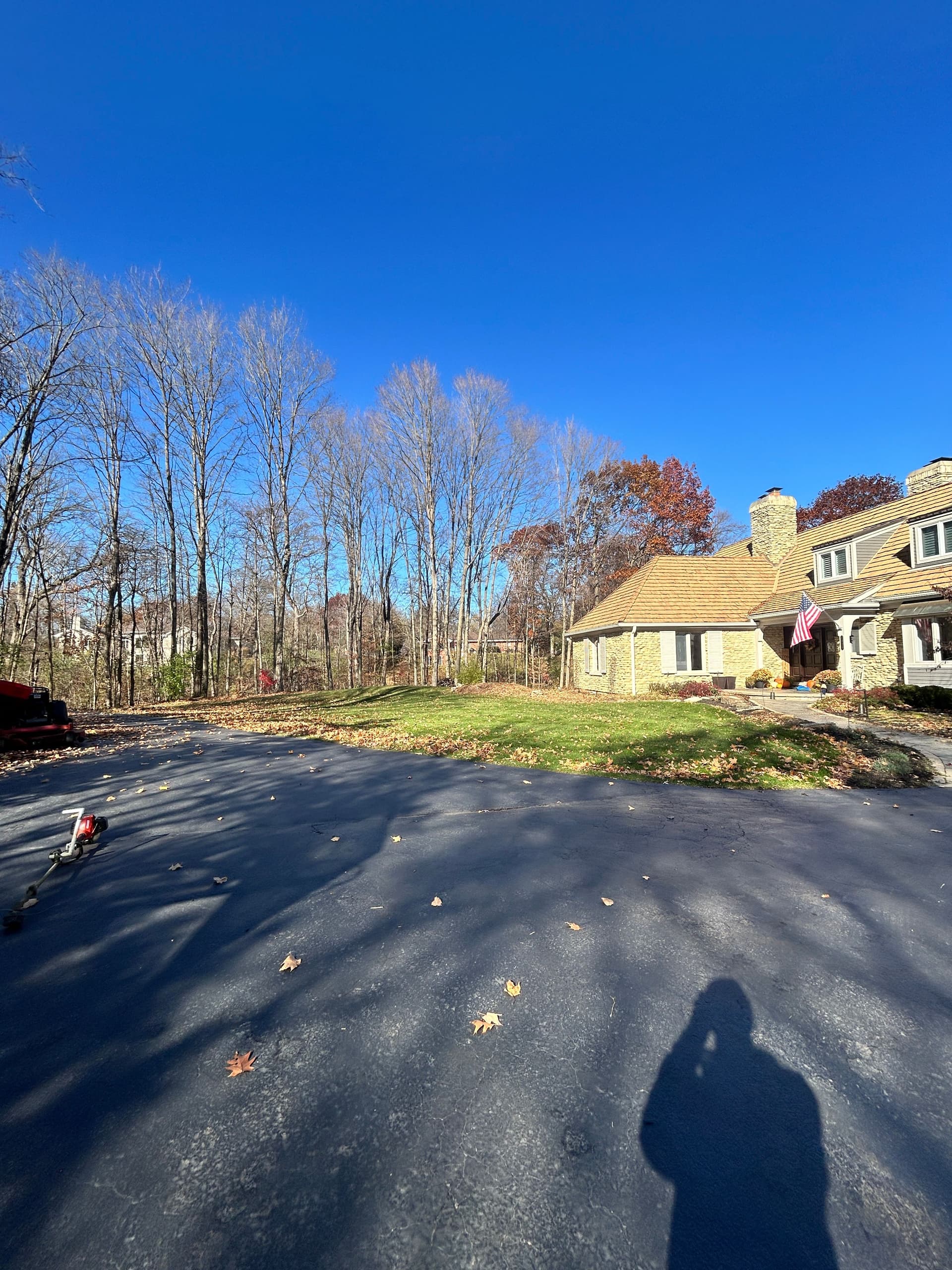 Gallery photos for Weekly Fall Cleanup in Inverness IL: Image #4