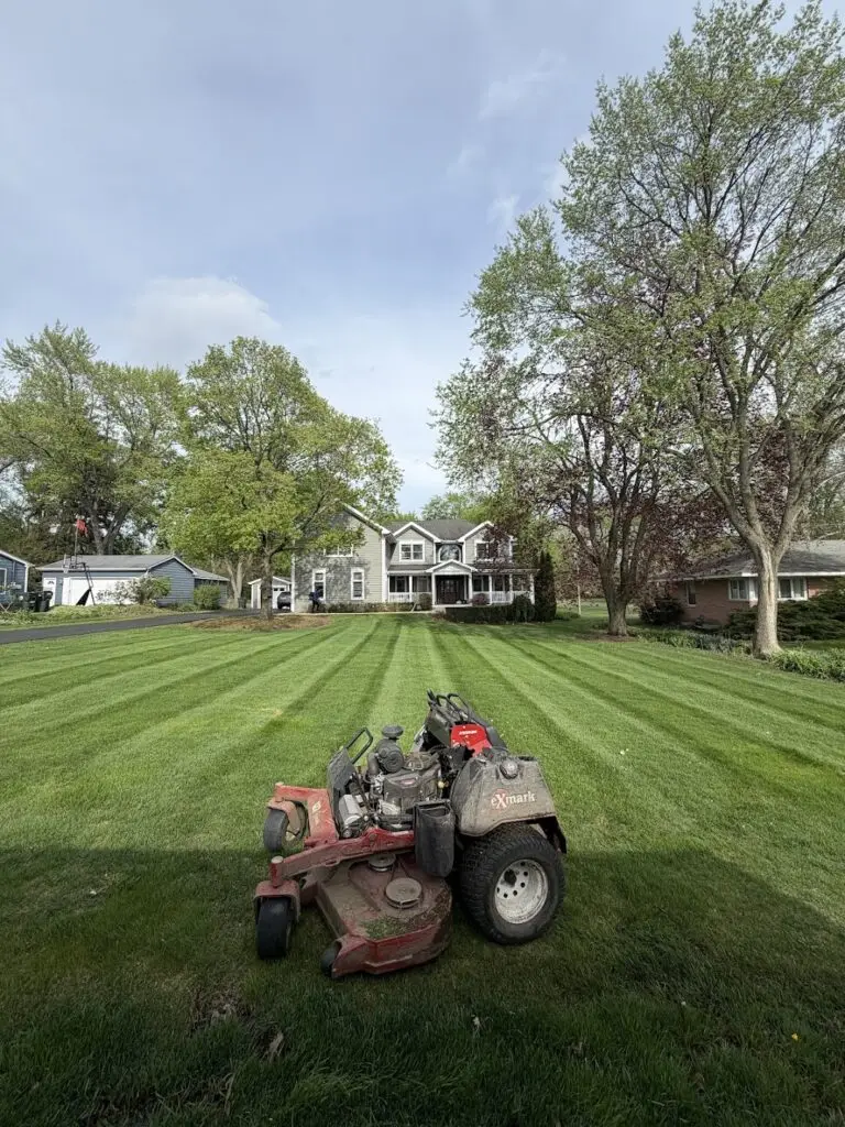 Freshly mowed residential lawn with professional striping created using commercial-grade mowing equipment by BlackRock Outdoor Living.