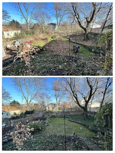 Before and after fall cleanup showing leaves, debris, and overgrown landscape beds transformed into a clean, well-maintained property by BlackRock Outdoor Living.