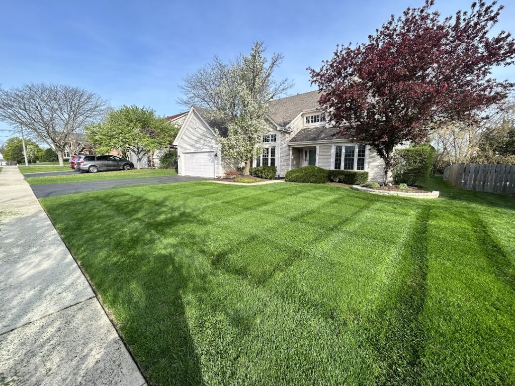 Professionally maintained residential lawn featuring crisp mowing stripes, healthy green turf, and neatly landscaped planting beds maintained by BlackRock Outdoor Living.