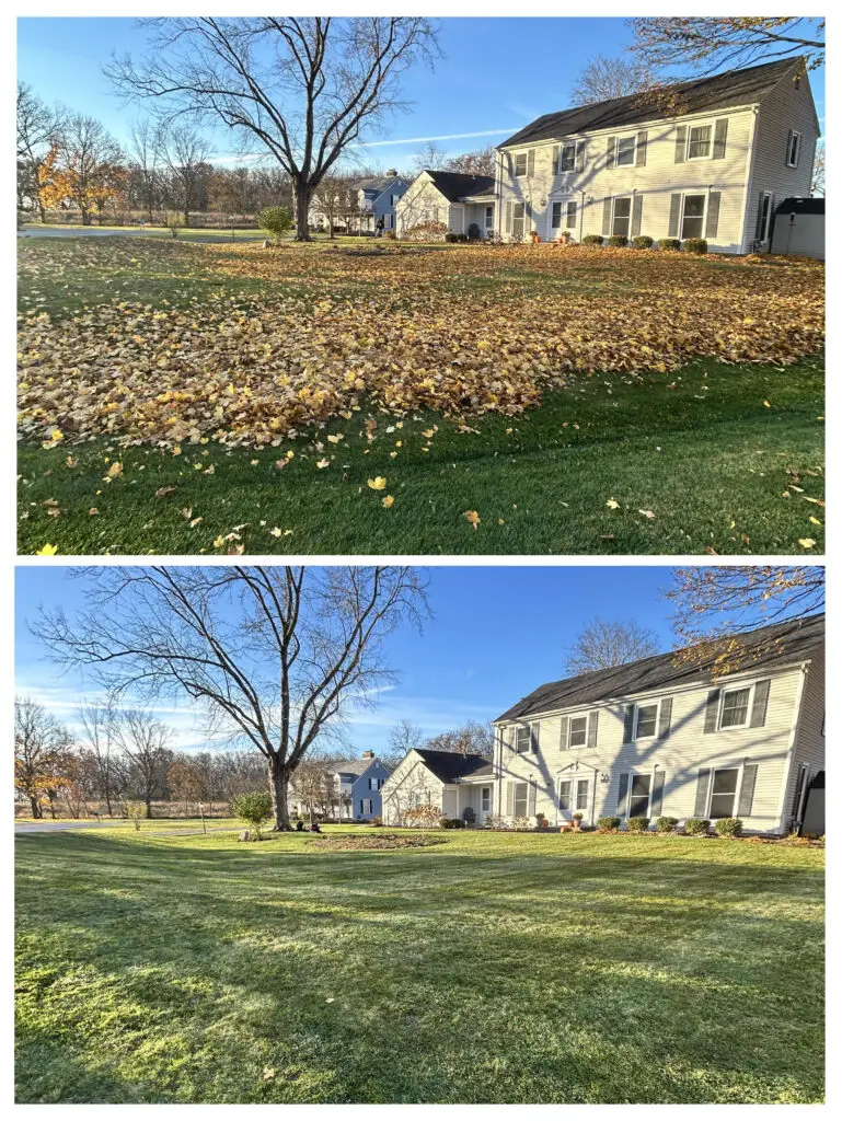 Before and after fall leaf cleanup showing a residential lawn transformed from heavy leaf coverage to a clean, professionally maintained property by BlackRock Outdoor Living.