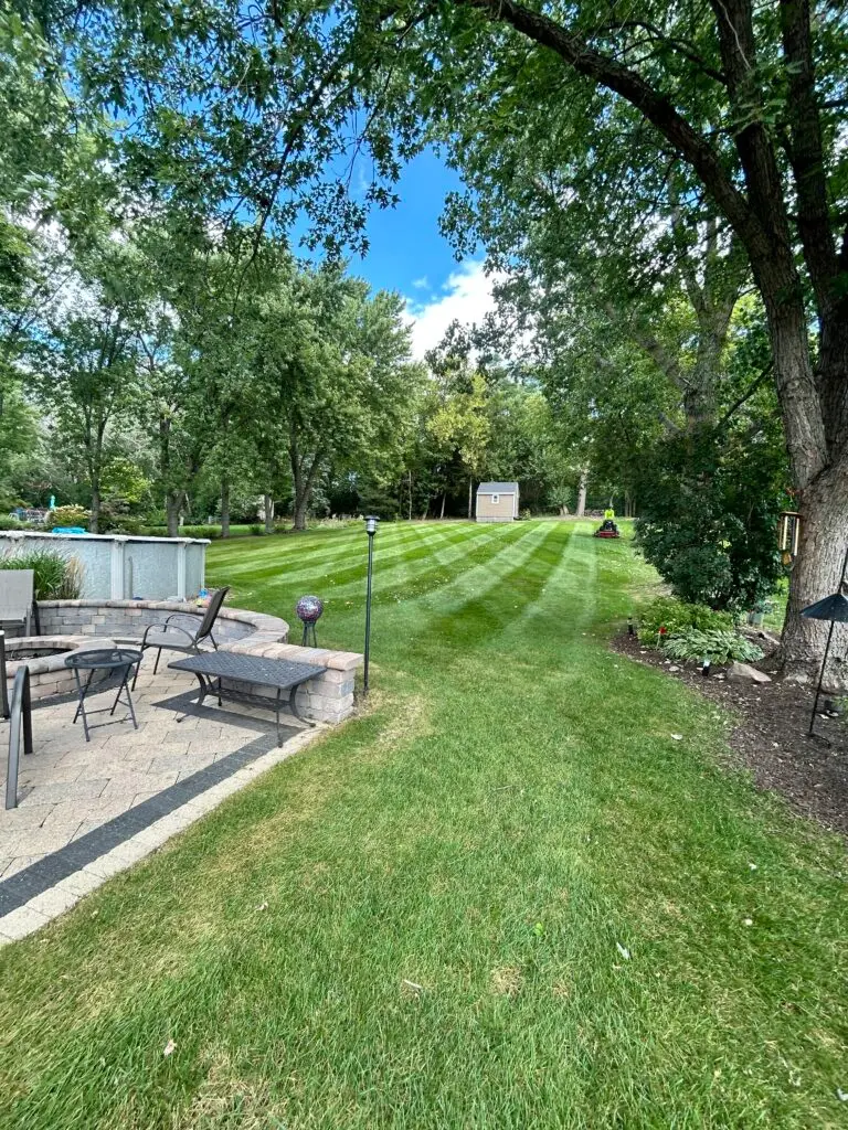 Professional lawn aeration with soil plugs removed to improve root growth and reduce soil compaction in Barrington, IL.